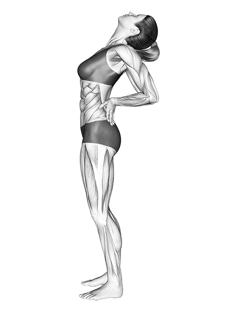 Static Position Standing exercise demonstration for Body weight