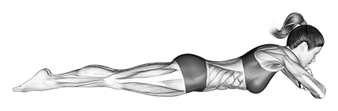 Static Position Lying Front exercise demonstration for Body weight