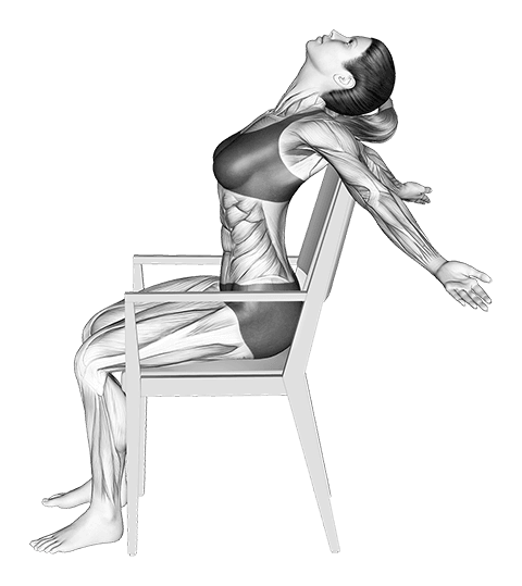 Static Position Seated Back exercise demonstration for Body weight