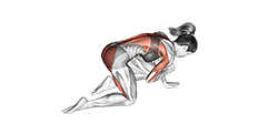 Bird Dog exercise demonstration for Hips, Body weight