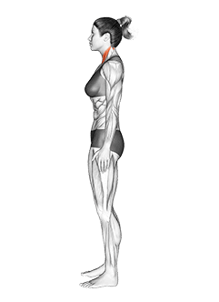 Chin Tuck exercise demonstration for Neck, Body weight