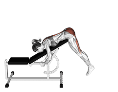 Incline Reverse Hyperextension exercise demonstration