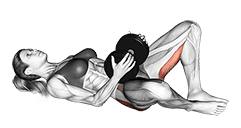 Weighted Frog Pump exercise demonstration for Hips, Weighted