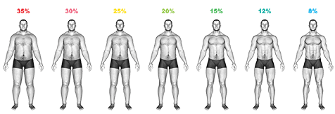 Body Fat Percentage exercise demonstration for Body weight