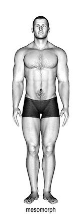 Body Type exercise demonstration for Body weight