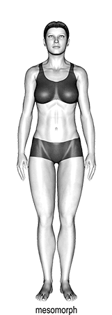 Body Type exercise demonstration for Body weight