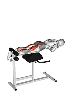 Glute-Ham Raise exercise demonstration