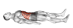 Quarter Sit-up exercise demonstration