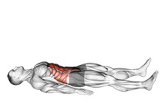 Half Sit-up exercise demonstration for Waist, Body weight