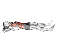Prisoner Half Sit-up exercise demonstration for Waist, Body weight