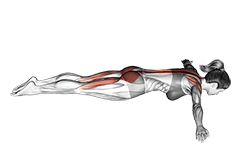 Floor T-Raise exercise demonstration for Hips, Body weight