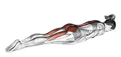 Prone Cobra Palms Under Thighs exercise demonstration