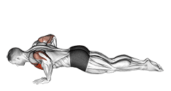 Kneeling Push-up exercise demonstration