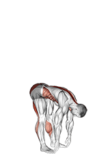 Basic Toe Touch exercise demonstration