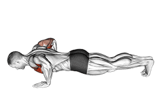Chest Tap Push-up exercise demonstration for Chest, Body weight