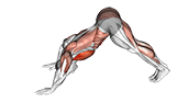 Modified Hindu Push-up exercise demonstration