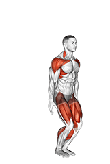 Star Jump exercise demonstration for Cardio, Body weight