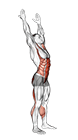 Two Toe Touch exercise demonstration for Back, and Waist, Body weight