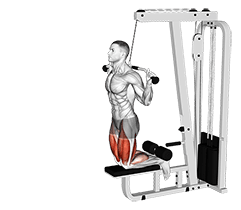 Cable Assisted Inverse Leg Curl exercise demonstration for Quadriceps, and Hamstrings, and Thighs, Cable