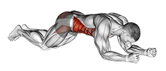 Kneeling plank exercise demonstration