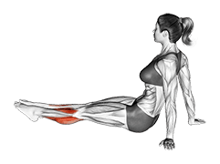 Feet and Ankles Stretch exercise demonstration for Calves, Body weight