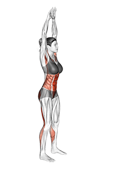 Front Toe Touching exercise demonstration for Back, and Hips, and Waist, Body weight