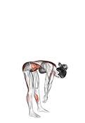 Two Front Toe Touching exercise demonstration for Back, and Hips, and Waist, Body weight