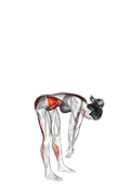 Side Toe Touching exercise demonstration for Back, and Hips, and Waist, Body weight