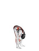Side Two Front Toe Touching exercise demonstration for Back, and Hips, and Waist, Body weight