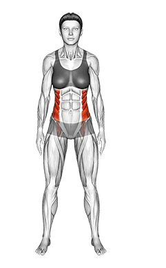 Standing Side Bend exercise demonstration for Waist, Body weight