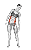 Standing Two Side Bend exercise demonstration for Waist, Body weight