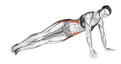 Side Plank Leg raise exercise demonstration for Hips, Body weight