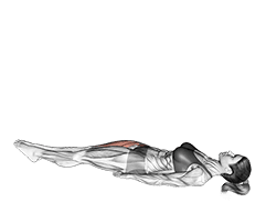 Lying Single Leg Raise exercise demonstration for Thighs, Body weight