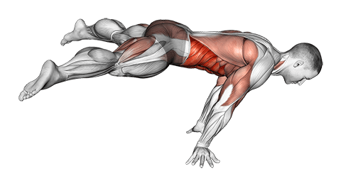 Straddle planche exercise demonstration for Waist, Body weight