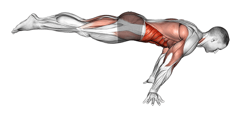 Full planche exercise demonstration for Waist, Body weight