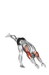 Handstand exercise demonstration for Triceps, and Upper Arms, Body weight