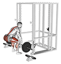 Barbell Weighted Deadlift exercise demonstration for Hips, Barbell