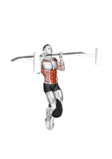 Weighted Muscle up exercise demonstration