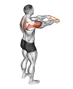 Resistance Band Rear Fly exercise demonstration for Shoulders, Resistance Band