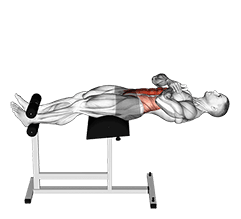 Roman Chair Sit-Up exercise demonstration