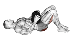Dumbbell Glute Bridge exercise demonstration
