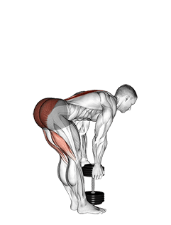 Dumbbell Stiff Leg Deadlift exercise demonstration for Hips, Dumbbell