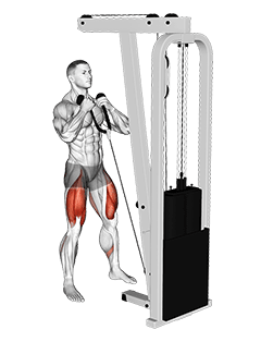 Cable Front Squat exercise demonstration