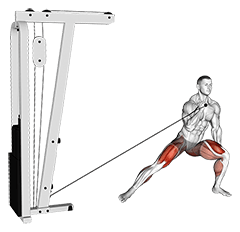 Cable Lateral Lunge exercise demonstration for Quadriceps, and Thighs, Cable