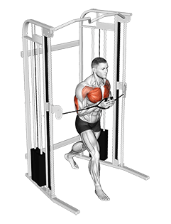 Cable Standing Close Press exercise demonstration for Triceps, and Upper Arms, Cable