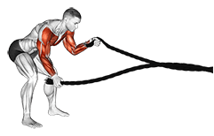 Battling Ropes Low Waves exercise demonstration