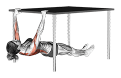 Inverted Row under Table exercise demonstration