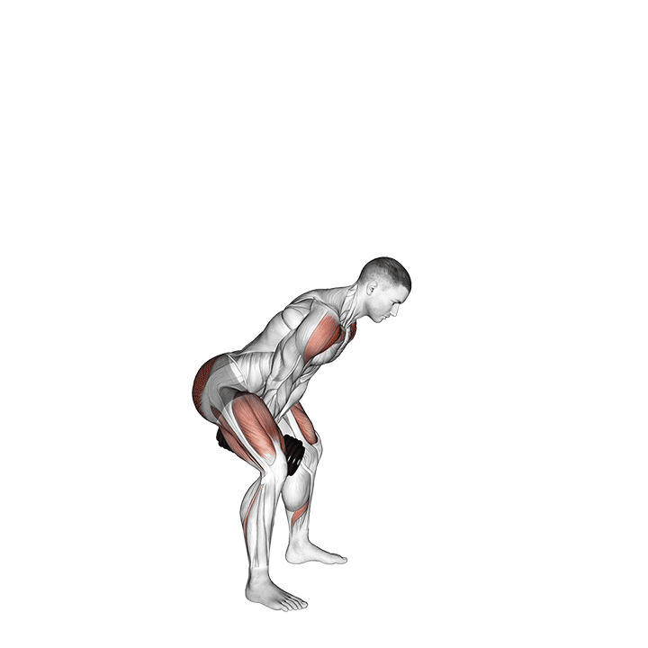 Dumbbell Full Swing exercise demonstration