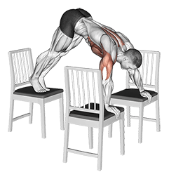 Pike Push-up exercise demonstration for Shoulders, Body weight