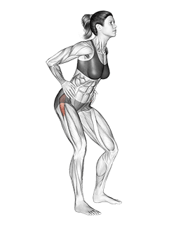 Standing Low Body Rotation exercise demonstration